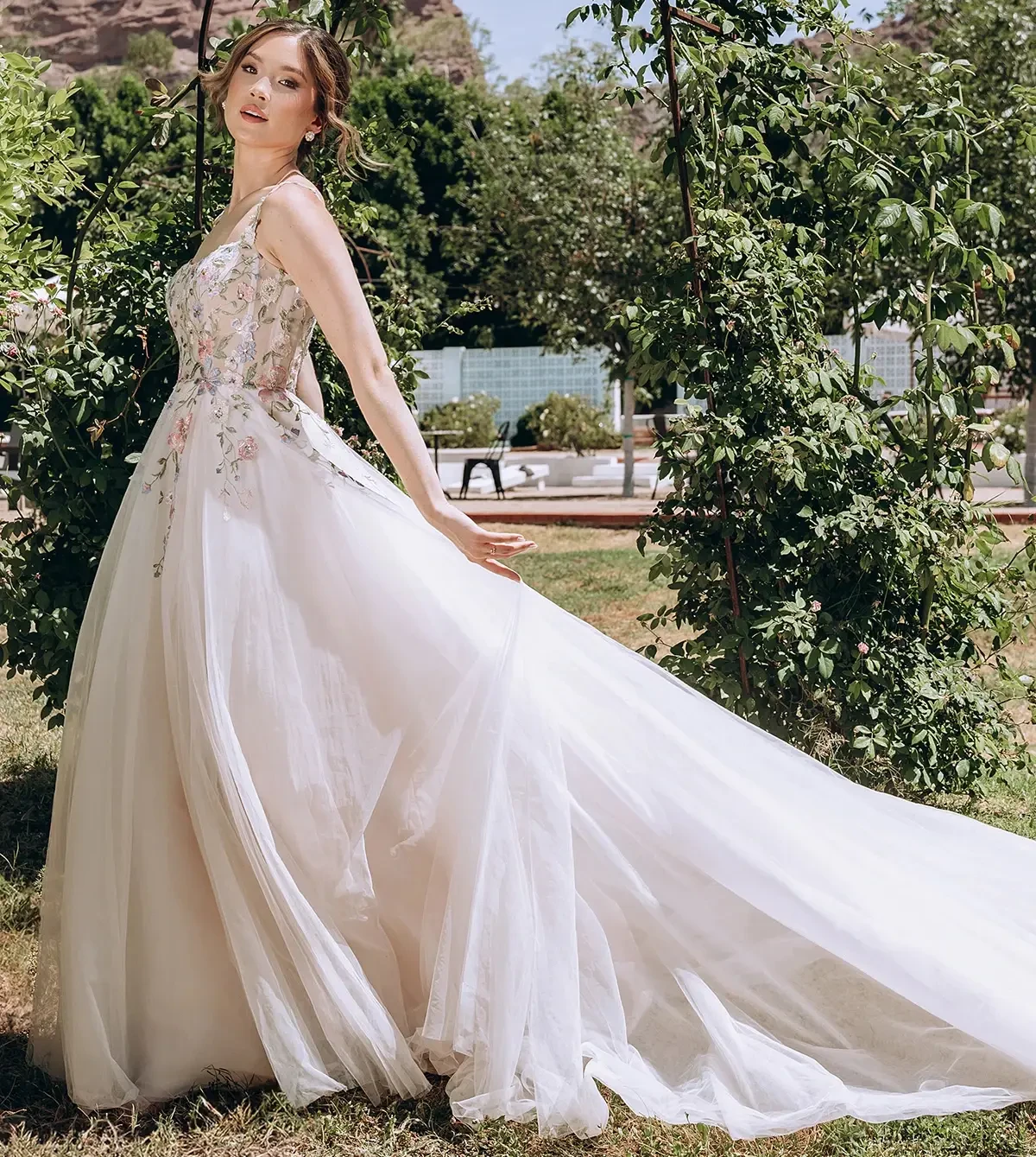 Stella York