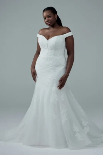 Hibiscus+ Y3206+ Sophia Tolli #0 default thumbnail