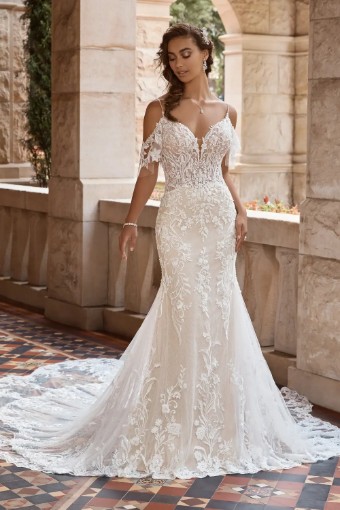 Sophia Tolli  Leighton #0 default thumbnail