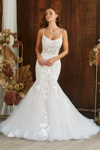 Sophia Tolli  Nadia #0 default thumbnail